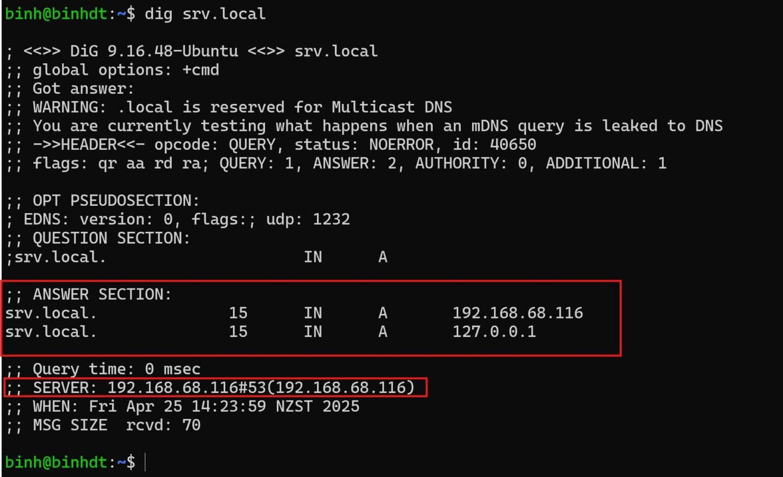 How to Set Up a Local DNS Server with Dnsmasq in Ubuntu 24.04 (Fast ...